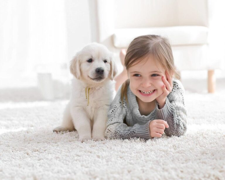 Pet Odor & Stain Removal in Panama City